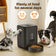 HEYBO Smart Pet Feeder | Automatic, 2L Capacity for Cats & Dogs