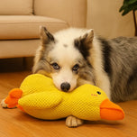 Squeaky Duck Dog Toy