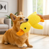 Squeaky Duck Dog Toy