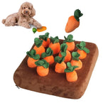 Interactive Carrot Field Enrichment Mat