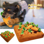 Interactive Carrot Field Enrichment Mat