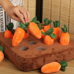 Interactive Carrot Field Enrichment Mat