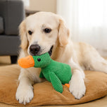 Squeaky Duck Dog Toy