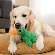 Squeaky Duck Dog Toy
